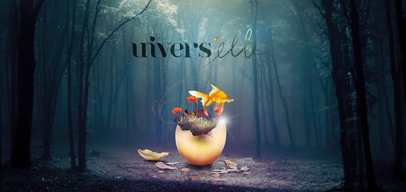 studio universelles